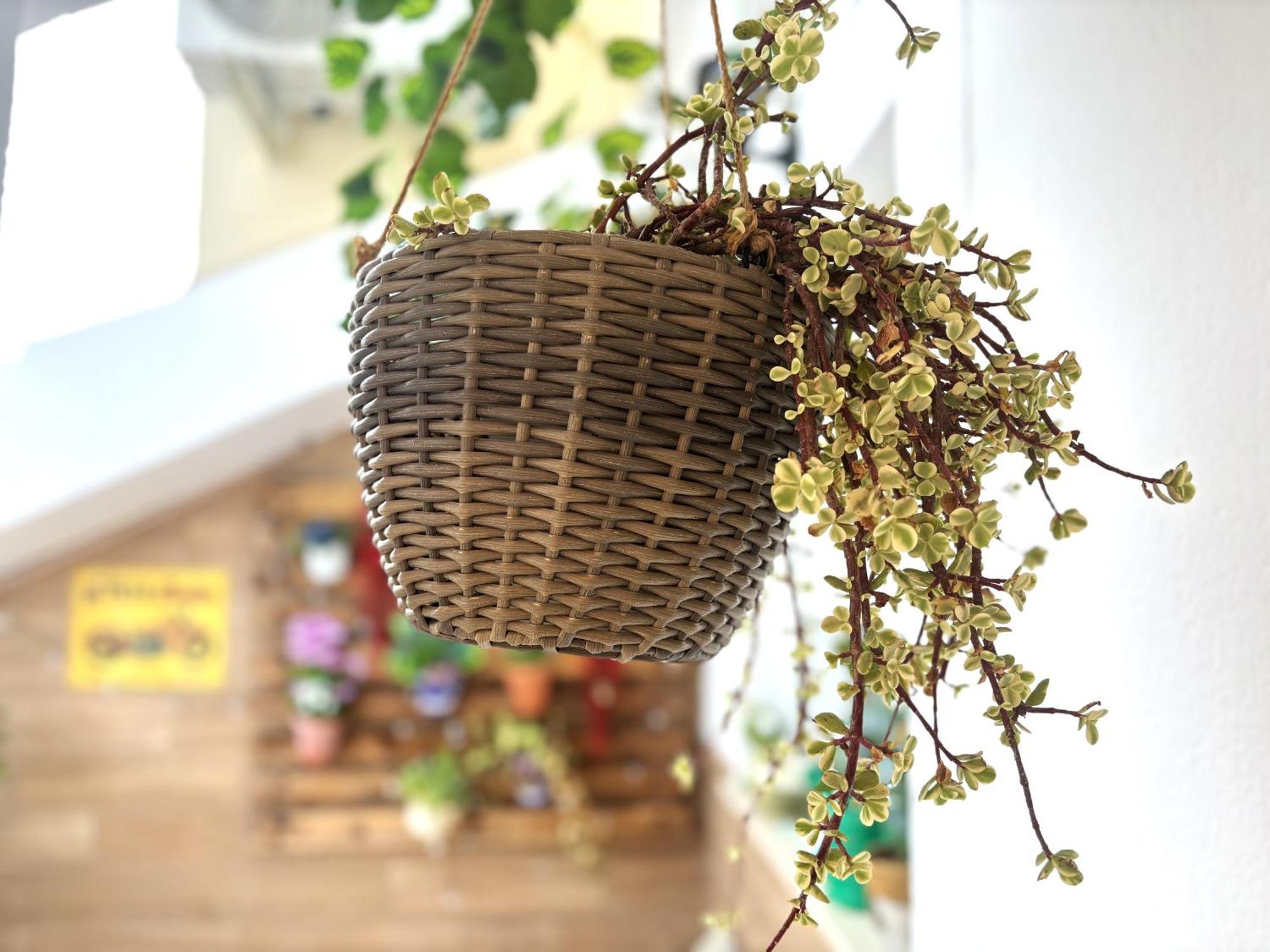 Apartamento Vivienda Turistica Jaen Interior Atico Andújar Exterior foto